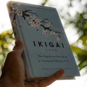 Kaizen nas 4 Interseções do Ikigai